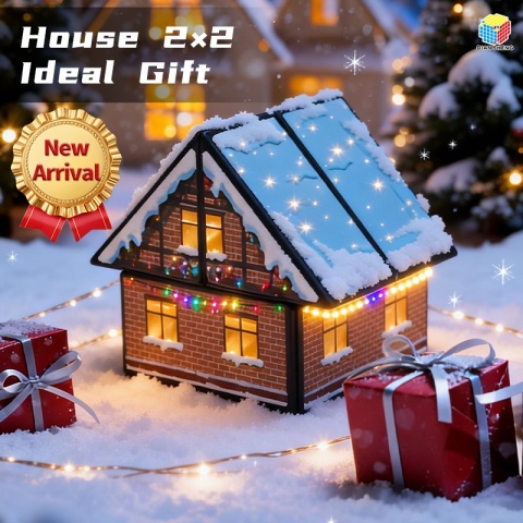 DianSheng House Cube 2x2